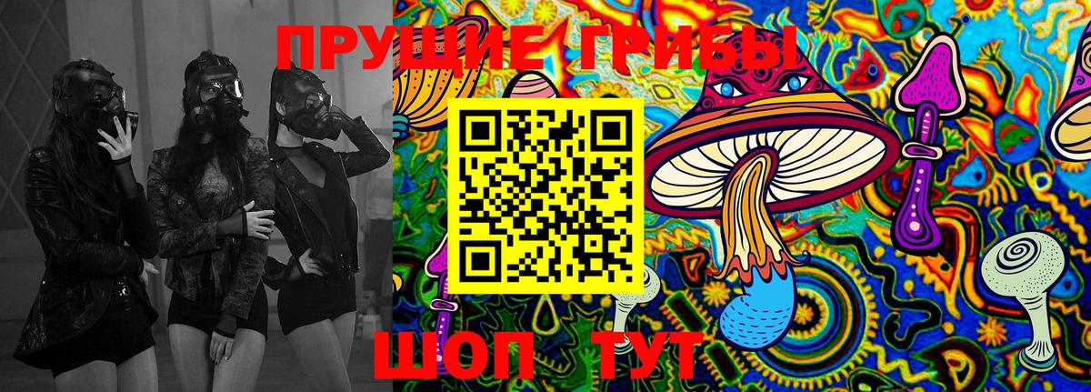 Псилоцибиновые грибы Psilocybe  Вход с VPN  Вышний Волочёк  Галлюциногенные грибы GOLDEN TEACHER 